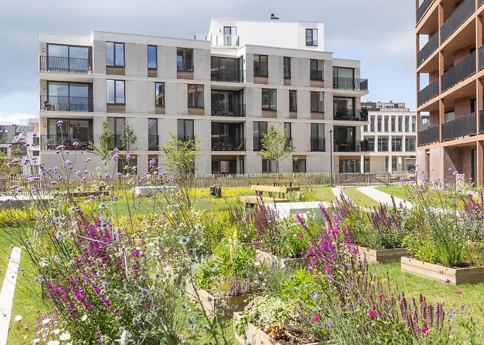 Lecomte - The Shoreline Green C Apartment *